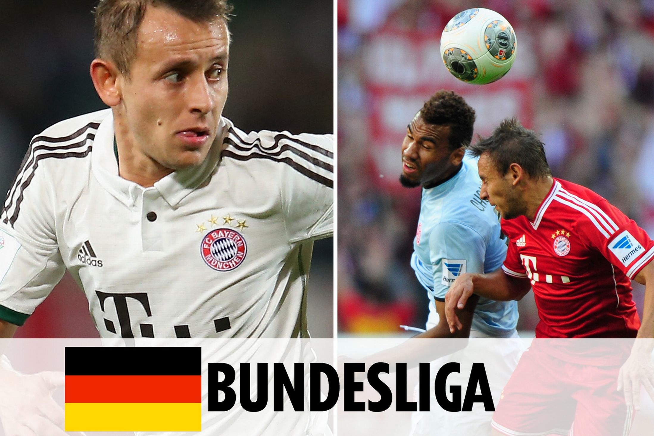 热刺的引援 热刺的引援