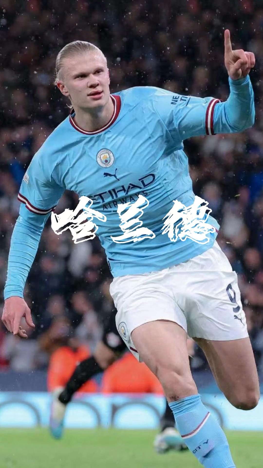 库里与萨布 库里与萨布